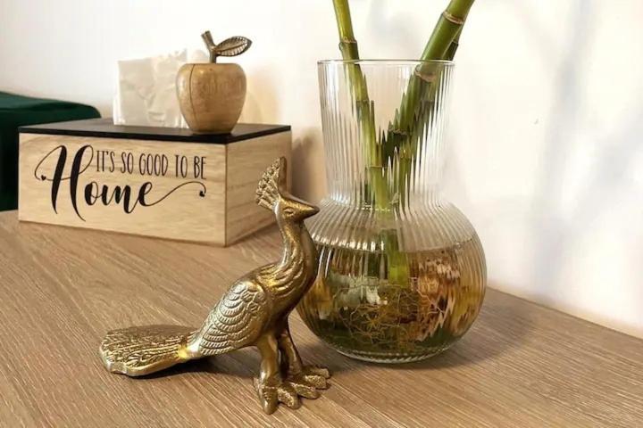 Peacock Studio Năvodari Extérieur photo